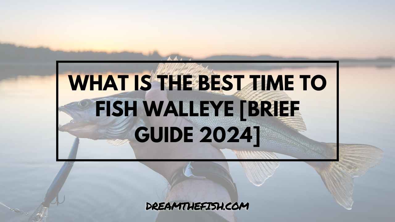 What Is The Best Time To Fish Walleye [Brief Guide 2024]